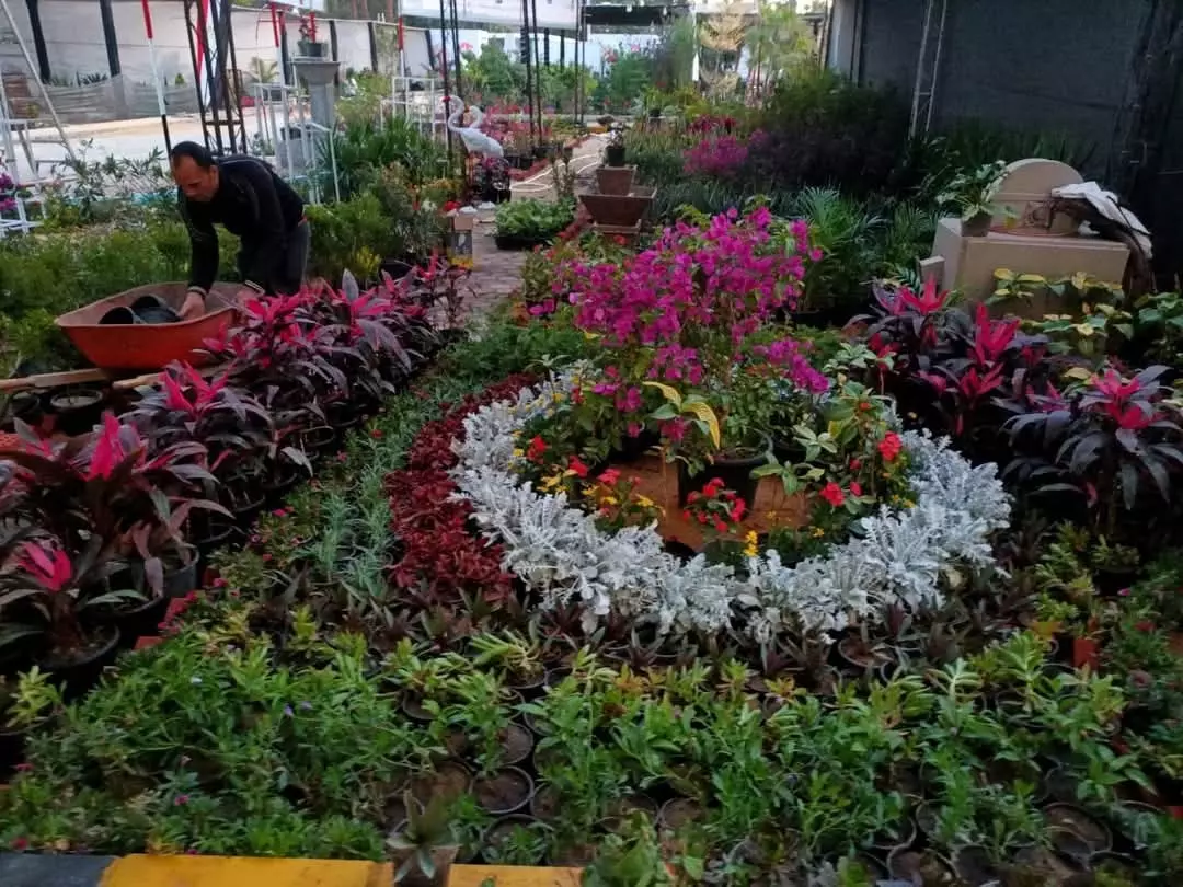 C8fded66f16502f22d236239eb105d0d