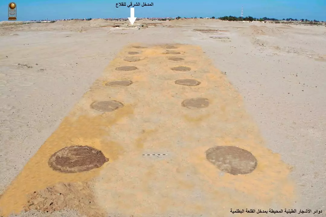 662170365b9ab61cd7a7962bc9bcfc32