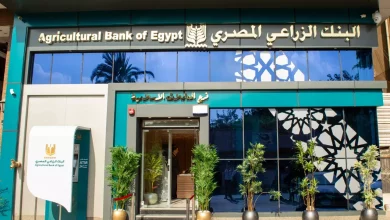 4c4db8445a783cb4f17d8ca7a8e7fa52