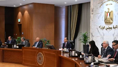 69cc9957d9e961545768152a3e88ebba