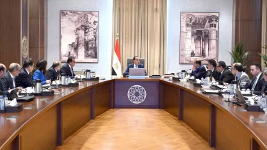 930176611f6cacbf3d788a9e5ec7e884