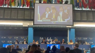 9331041d845434a80eb20b6c16ee8689