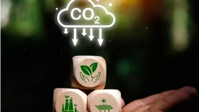 Aa26d5ce26de955a37adb6c0b4f609ee