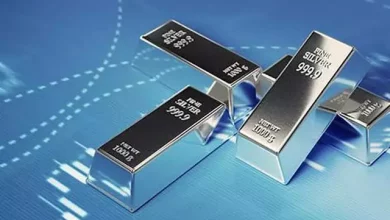 E20ff26cab90e55ec99989c12d66af60