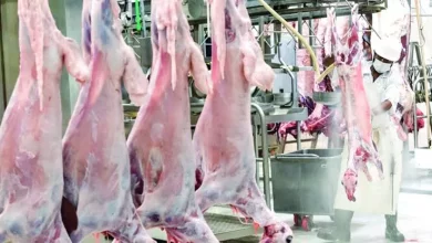 E897480da708857f2d4168fb37e89325