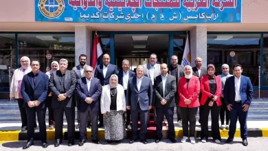 090972d111de912bb2debdd95fe1d553