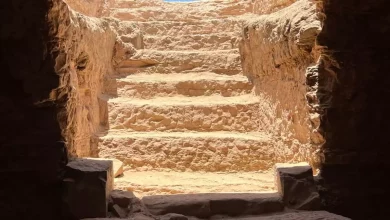 122453f2c9123131898db8ed1f9712e9