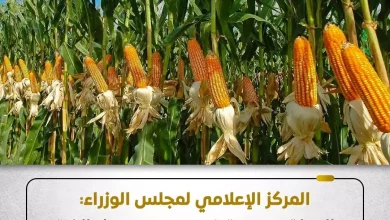 12257bcec6d8161e64df714e77a5240c