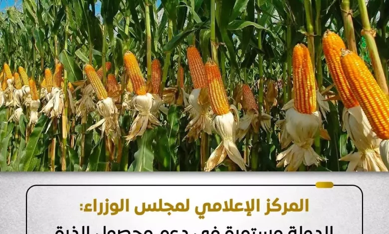 12257bcec6d8161e64df714e77a5240c