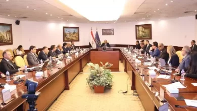 1e5228e2411eafddbdce4ff452709ce4