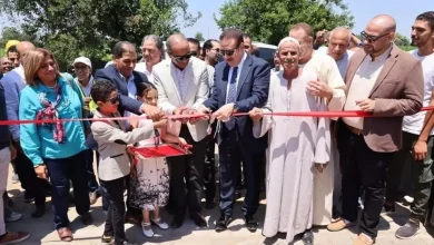 493a1324ef36c6e20f394687558825cd