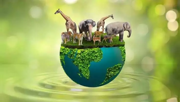 80e926f4d4f78e0f6bff80a29caf2784