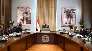 9b3cb15d731ea1f24c6874ca8ede9207