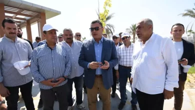 C79ffae9b28fd3ba3d804ca25a29b12b