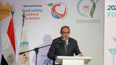 Dd8118c2bb6206ea2bc4e01807344062