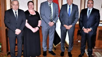 E4d19395611a7a740cfb94920927e714