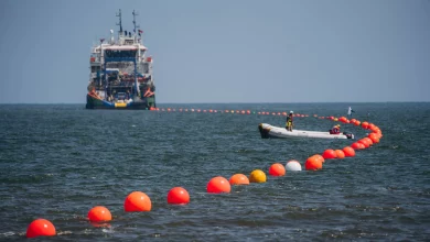 Ea414237f82a8bd45edefac66c84d73a