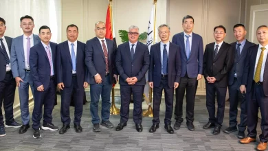 13c94a03c2b41cca812b6b18df9f8350