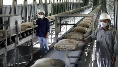 2733cb6bcbf142d2e14b0e45b94f070c