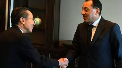 452a29f4d2399324ee31f9fc590ebe72