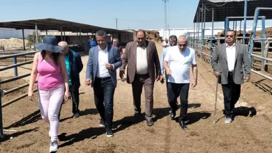 52fd1161fe4e6d2c62d79b94a938b534