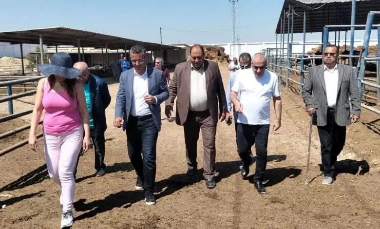 52fd1161fe4e6d2c62d79b94a938b534