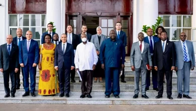 6650a78e0a2eee3c11eb1f54f01750c8