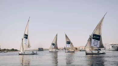 6a42b1f042f75752528c90f1550dd851