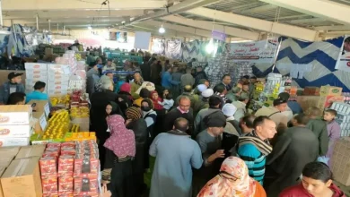 7e95467d78ca38dffa3e5327f39023c1