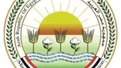 810f2a4348c6f4a4694257aebbc07630