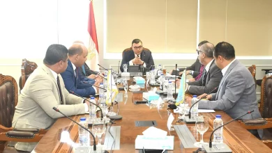 8876c9fa3a22163fd2e7f7b7e73541a5