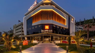 944aa3f558b47c817420b94031663908