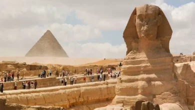 958ad998eac2fa18971510464cac67a7