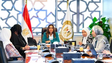 B7fe1dca354bf04a06383d88e81603a2