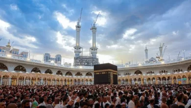 C4496cbd6eb00fd836674ca7dbd19a41