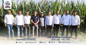 C6c9fca64ffdb97af029d13c5b0ab77f