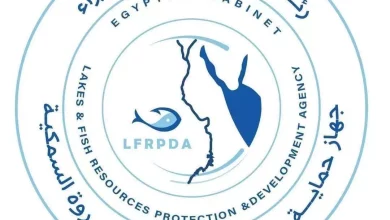 C978352b4ac2f7be0f82ef1052c2a683