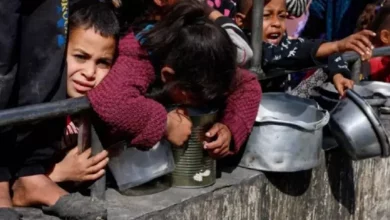 D73d0e481001cdc42a049c12ff930eac