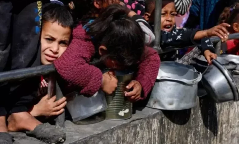 D73d0e481001cdc42a049c12ff930eac