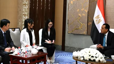 D94358e3a98960ed8ff4f685a0fb8516