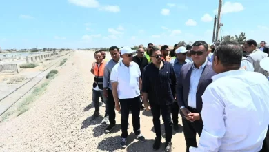 E2319d6abf8251173f294dbd8cace373