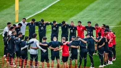 E5d36c7dd8f64e79b707b87be7a8ea35