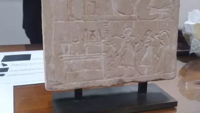 E9501c2c99e24e93b7bb5fd847926650