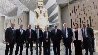 Ee20b39083176dbbf0c8123f0d23238b