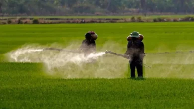 F49e33f300e0d1c0e099f889dfef6776