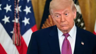 031104dfc38e97396eb16cfcfdec2fe8