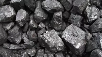 05d0735113ce8979987ce1c8160485bc