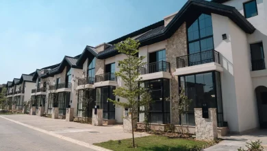 277e4f41ef0c6f122c6fbd3dbb1d03ad