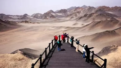 2df25411ace3a2616ea2c1a66cdcf938