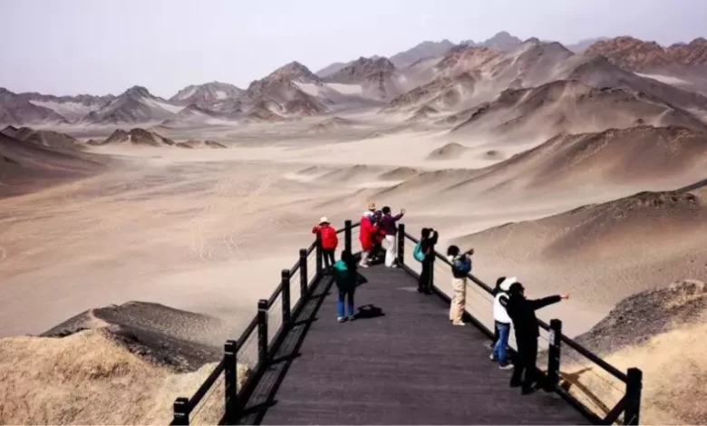 2df25411ace3a2616ea2c1a66cdcf938